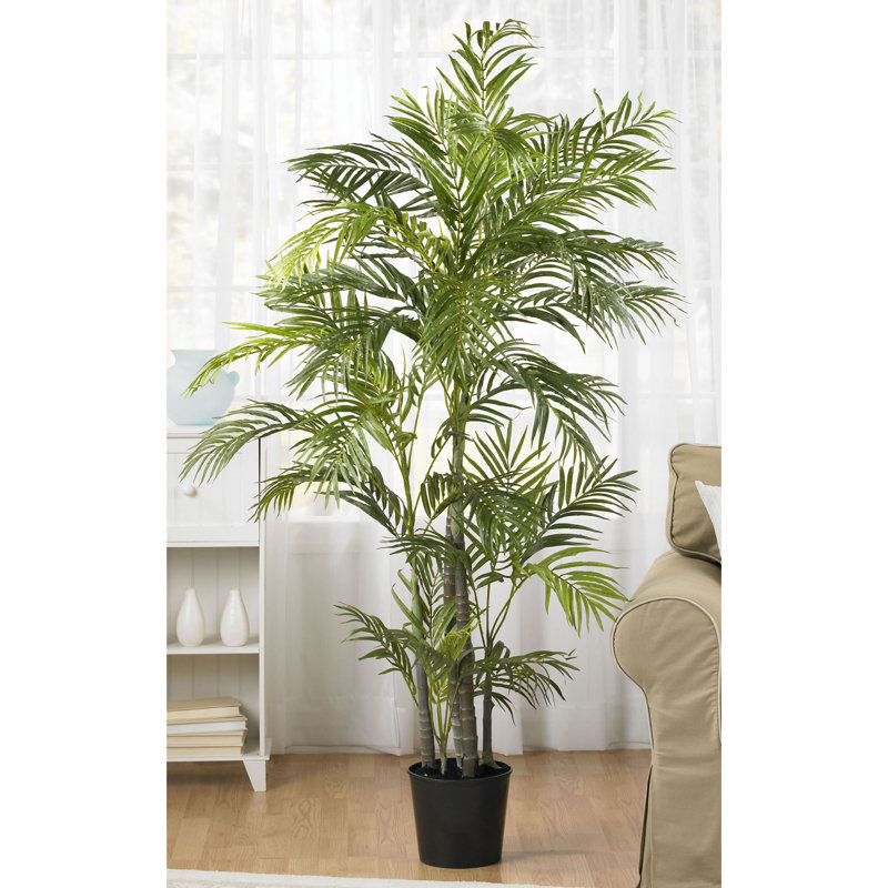 Primrue 60" Artificial Palm Tree in Pot Wayfair.ca